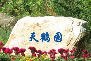 太原天鹤园